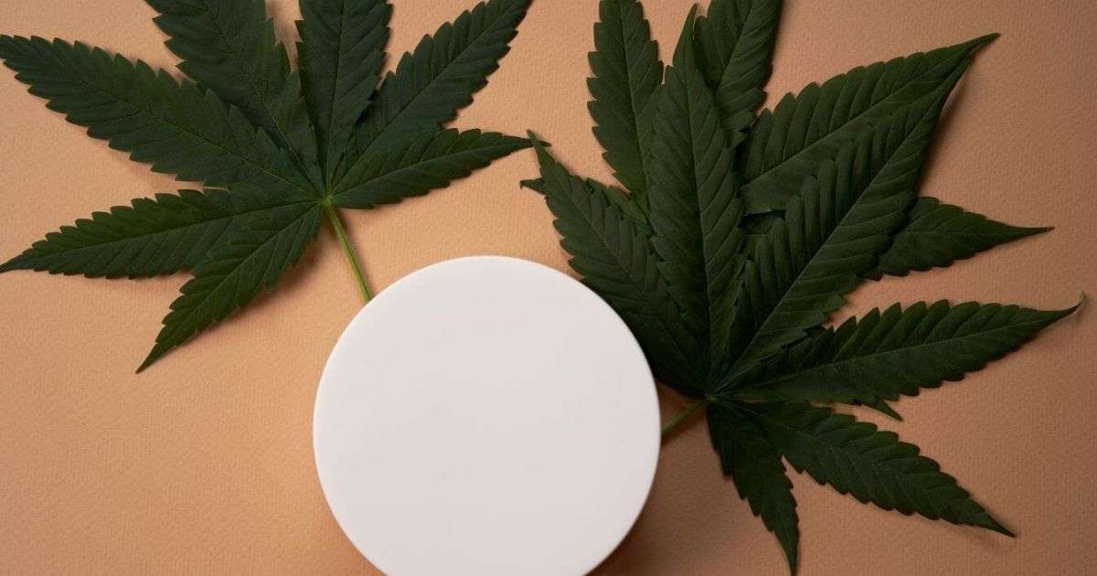 CBD creme gigt smertelindring
