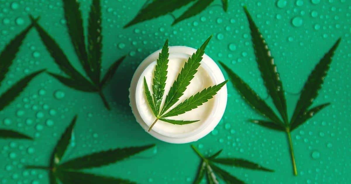 Hvad er CBD creme?