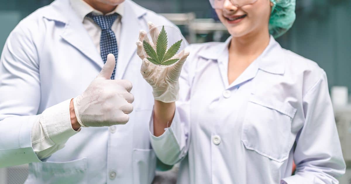 Sådan finder du den bedste CBD creme