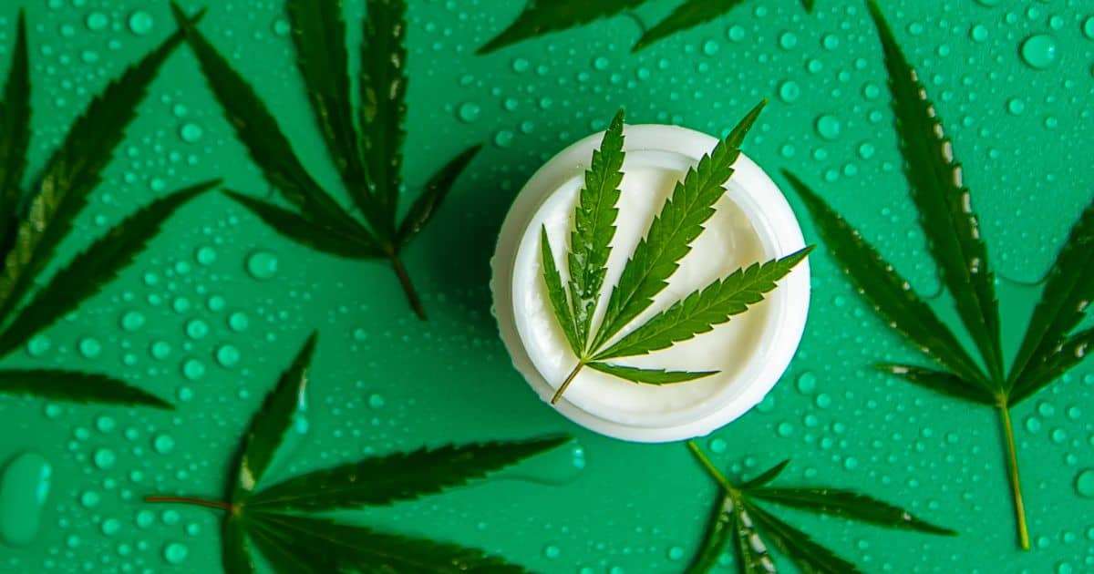 Sådan vælger du den rigtige CBD creme